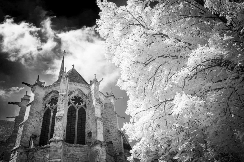 L'Abbatiale d'Essômes-sur-Marne © Norbert Bardin Photo en noir et blanc de Norbert Bardin de la série "L'abbatiale d'Essômes-sur-Marne" du choeur de l'abbatiale pris de l'extérieur avec au premier plan, à droite, un arbre dont les feuilles ressortent dans un blanc éclatant.