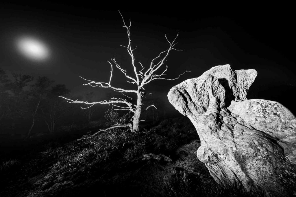 La Hottée du Diable © Norbert Bardin Photo en noir et blanc de Norbert Bardin de la série "Sur les traces de Camille..." prise de nuit à la Hottée du Diable dans l'Aisne présentant le tronc d'un arbre mort derrière un rocher qui se dresse éclairé par un halo de lune.