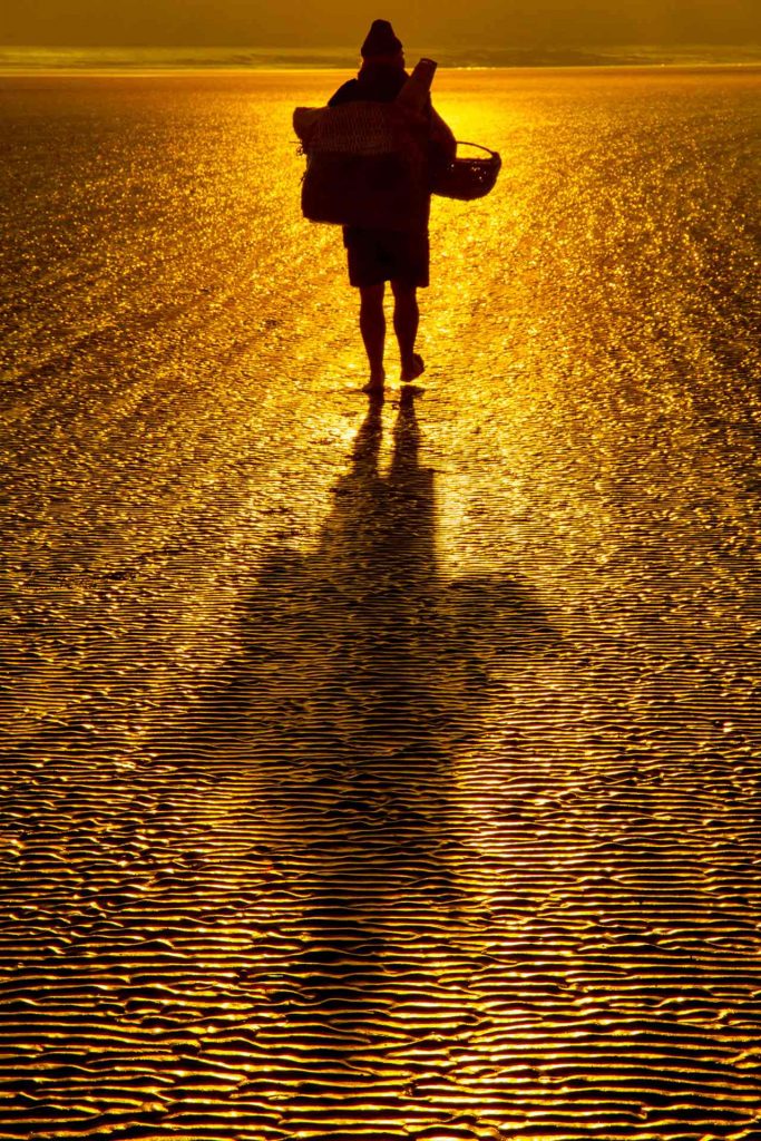 Le pêcheur d'or © Norbert Bardin Photo en couleur de Norbert Bardin de la série "Le Mont-saint-Michel - Baie de lumières" d'un pêcheur marchant sur la plage les bras chargés. A contrejour, sa silhouette sombre se détache sur une lumière dorée qui joue avec les traces laissées par la mer dans le sable.