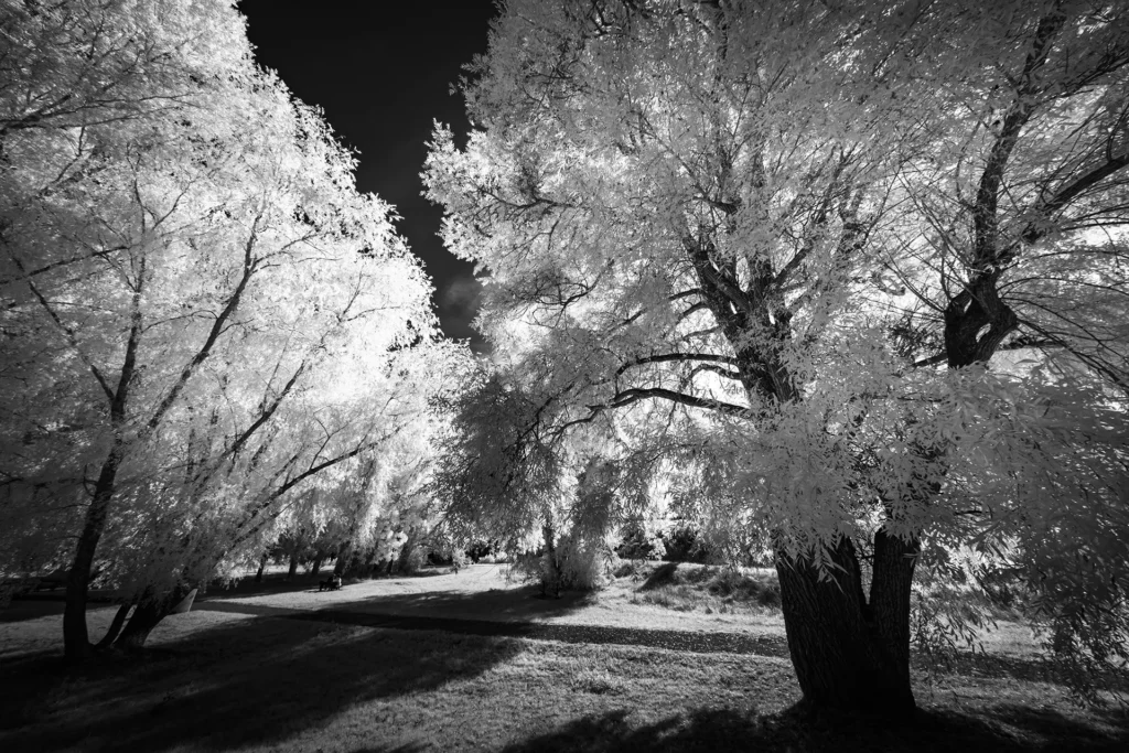 Eblouissement silencieux © Norbert Bardin