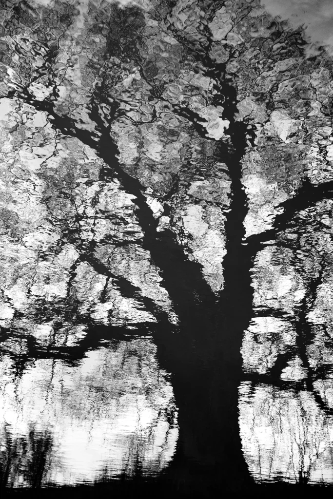 Sous la touche du vent © Norbert Bardin